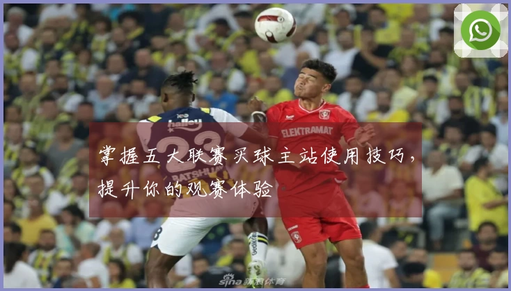 掌握五大联赛买球主站使用技巧，提升你的观赛体验