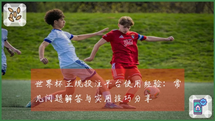 世界杯正规投注平台使用经验：常见问题解答与实用技巧分享
