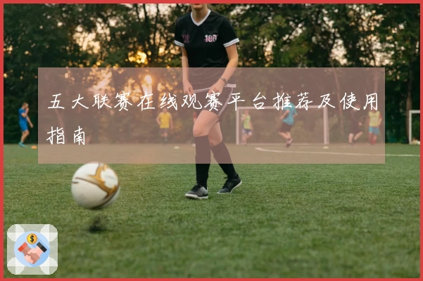 五大联赛在线观赛平台推荐及使用指南