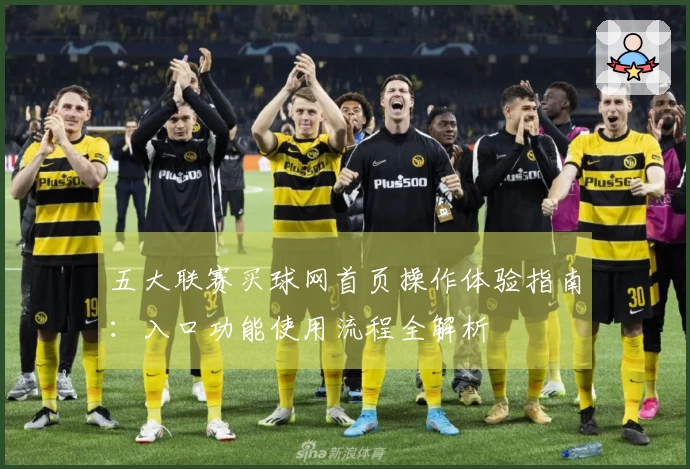 五大联赛买球网首页操作体验指南：入口功能使用流程全解析